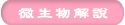 微生物解説